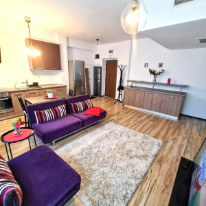  Apartament 2 Camere Herastrau Bucuresti