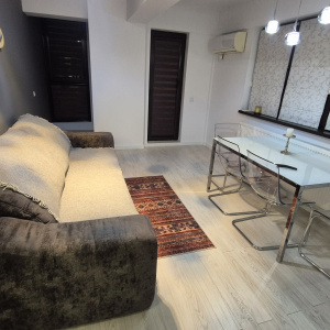 Apartament 2 Camere Baneasa