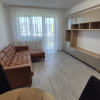  Apartament 2 Camere Theodor Pallady Bucuresti