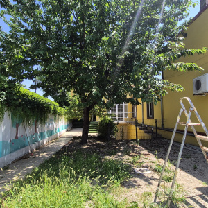 Casa  8 Camere Tineretului Bucuresti
