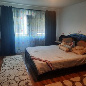 Lapus-Arges-Bulevardul Decebal | 2 Camere | Parcare | Pet Friendly 