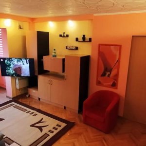 Apartament 2 Camere l Centrul civic l Parcare l Recent Renovat l Pet friendly