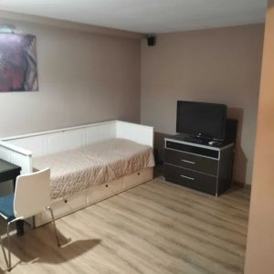 Pet Friendly | Tei | Mobliat Utilat | Anvelopat | Renovat | 