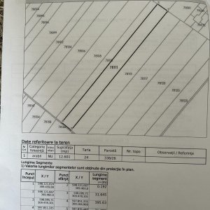 Teren 12600 MP | Vidra -Balta Berceni | Comision 0% | Oportunitate investitie 