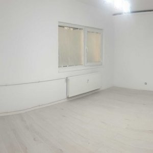 Teiul Doamnei | 2 Camere | Renovat | Semidecomandat | Pet friendly