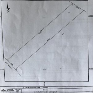 Teren | Cornetu-Buda | Intravilan | 1000mp